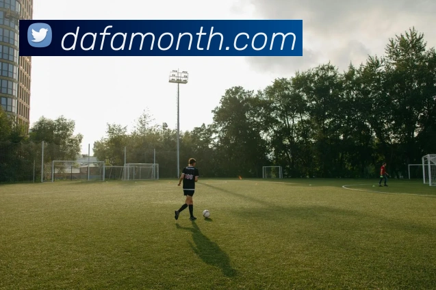 大发官网APP 体育赛事宣传图